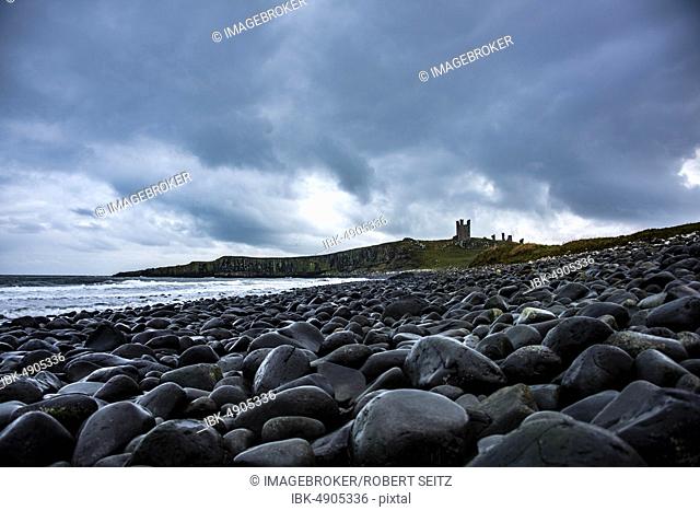 Black, round rocks on the coast, Dunstanburgh Castle with cloudy sky in the back, Craster, Northumberland, Great Britain