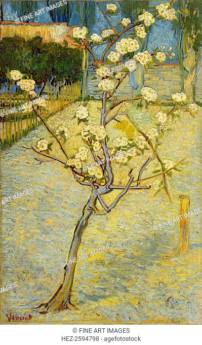 Small pear tree in blossom, 1888. Found in the collection of the Van Gogh Museum, Amsterdam