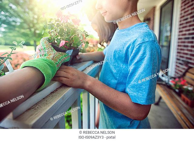 Hand wearing gardening glove handing plant to boy and girl