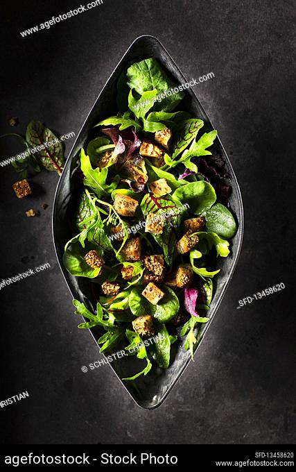 Mixed salad with rocket, beetroot leaves and croutons