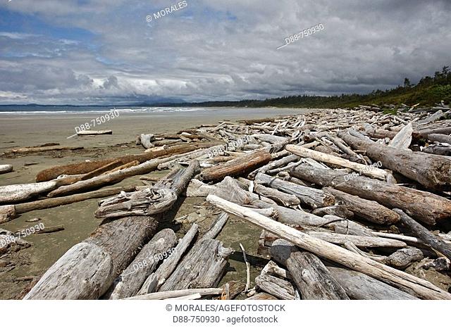 Driftwood, Clayoquot Sound, Vancouver Island, British Columbia, Canada