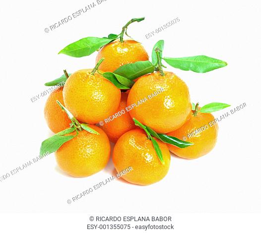 Fresh Spanish mandarins