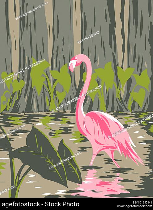 WPA poster art of a flamingo in the wetlands, swamps and marshes of the Everglades National Park in Florida United States in works project administration or...