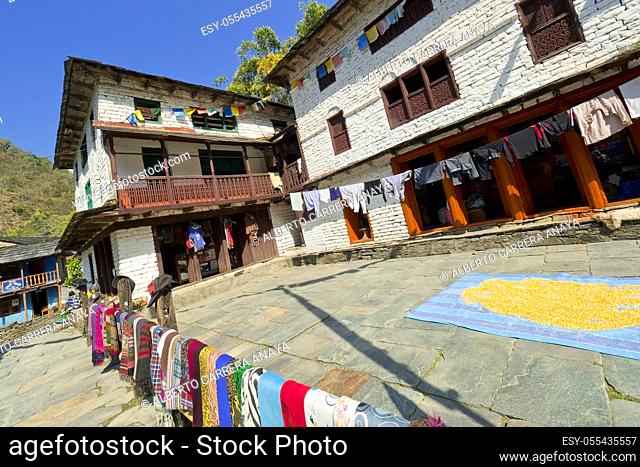 Rest Area, Small Village, Ghest House, Trek to Annapurna Base Camp, Annapurna Conservation Area, Himalaya, Nepal, Asia