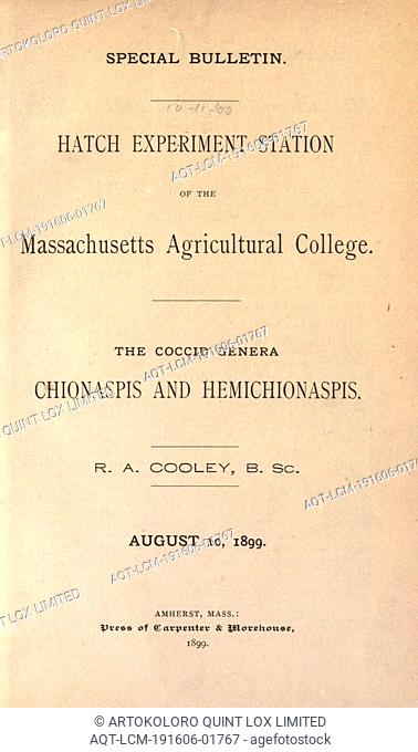 The coccid genera Chionaspis and Hemichionaspis : Cooley, R. A. (Robert Allen), 1873-1968