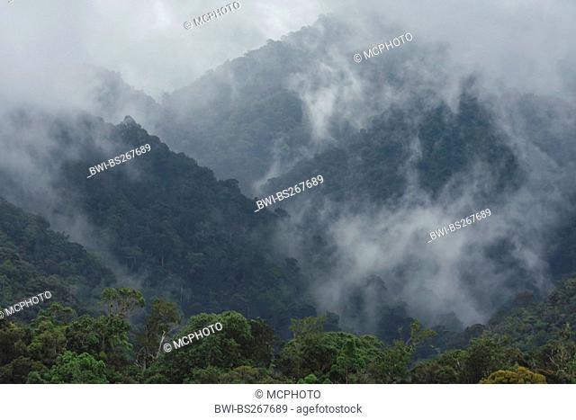 view at Mount Kinabalu overgrown with tropical rain forest in the fog, Malaysia, Sabah, Kinabalu National Park, Borneo