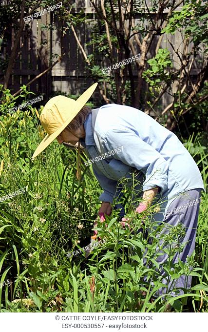Woman working in her garden