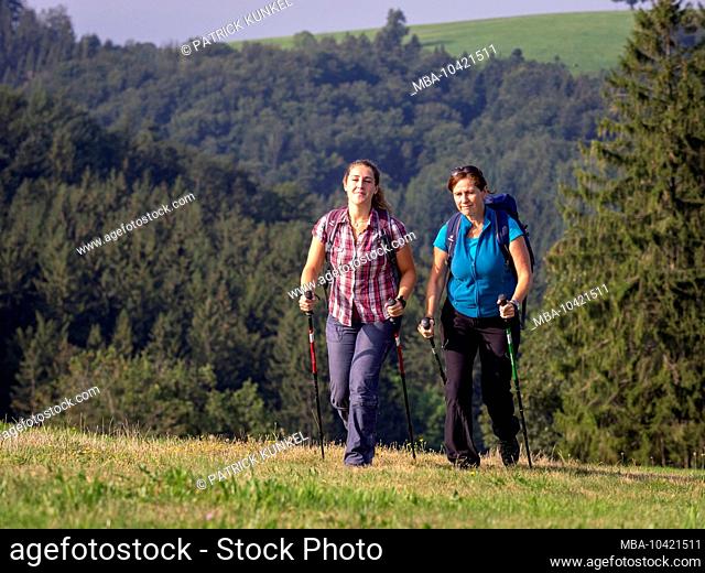 Hiking on the second valley trail, rest on mountain pasture at Kreuzmoos, view towards Bidlstein
