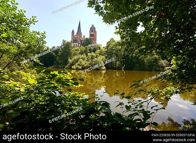 PRODUCTION - 03 August 2022, Hessen, Limburg: The lock island in Limburg. The view of Limburg Cathedral is blocked by thorns and overgrown bushes