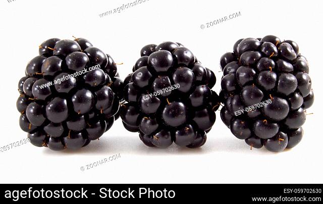 Ripe blackberries isolated on white background with clipping path. Black berries close-up