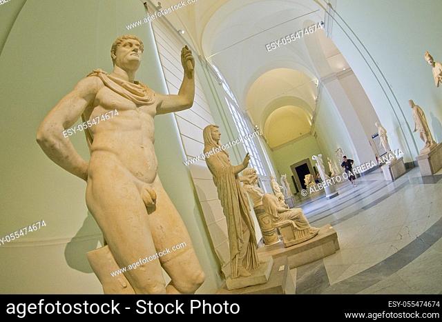 Naples National Archaeological Museum, Naples, Campania, Italy, Europe