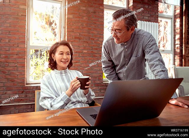 Happy elderly couple using laptops