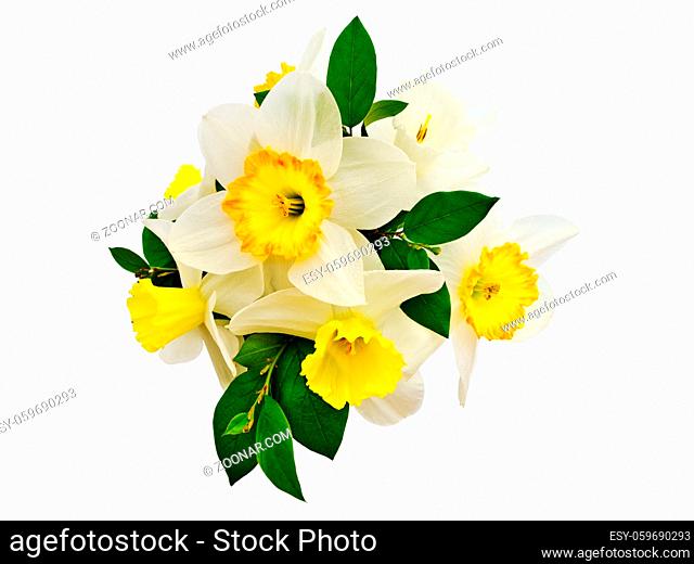 bunch of narcissus flowers, isolated on white with clipping path
