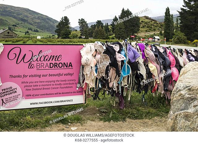 Bras on a fence in Cardrona, South Island, New Zealand. Fund raiser for breast cancer