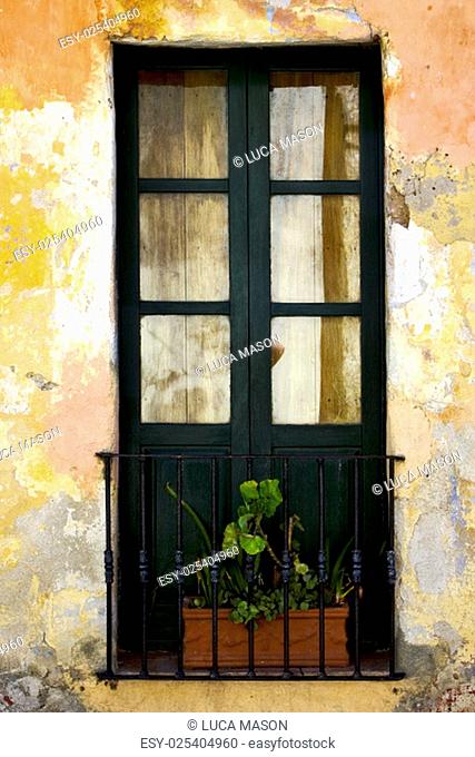 green old window little terrce and flower in the centre of colonia del sacramento uruguay