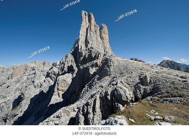 Vajolet towers in the sunlight, Nature park Schlern, Dolomites, South Tyrol, Alto Adige, Italy, Europe