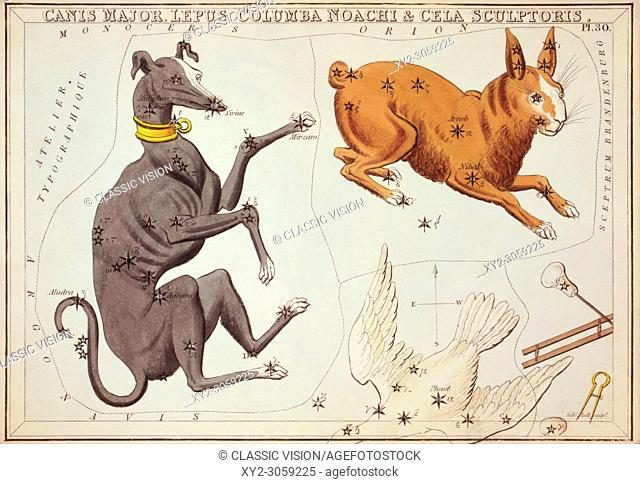 Canis Major, Lepus, Columba Noachi & Cela Sculptoris. Card Number 30 from Urania's Mirror, or A View of the Heavens, one of a set of 32 astronomical star chart...