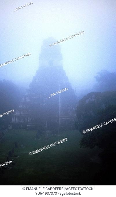 Temple of Tikal in the morning with the mist, National Park of Tikal, Mayan archaeological site, UNESCO World Heritage Site, El Peten, Guatemala