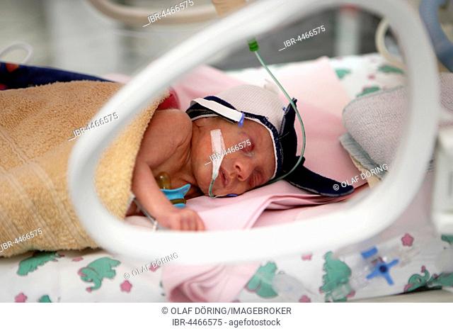 Incubator with newborn baby, Altona Children's Hospital, Hamburg, Germany