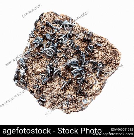closeup of sample of natural mineral from geological collection - Magnetite (lodestone) crystals in matrix isolated on white background