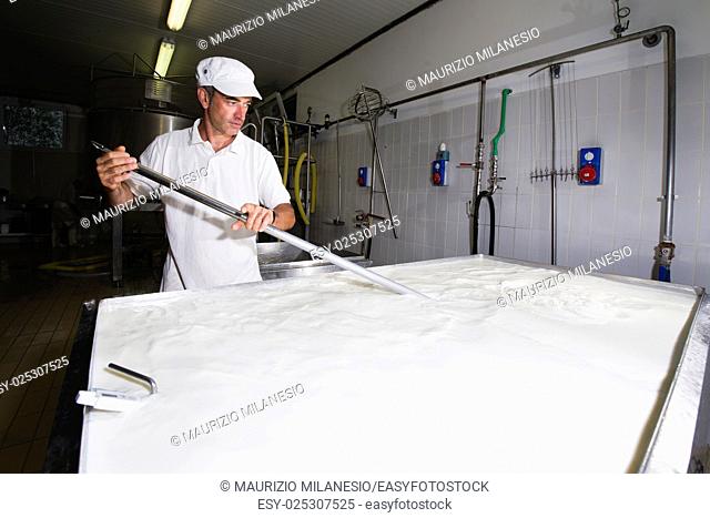 Cheese maker mixing the milk in a large stainless steel tanks