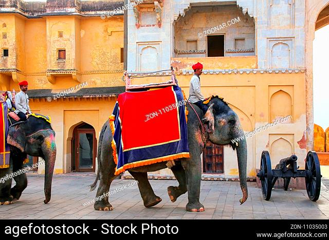 Decorated elephants walking in Jaleb Chowk (main courtyard) in Amber Fort, Rajasthan, India. Elephant rides are popular tourist attraction in Amber Fort