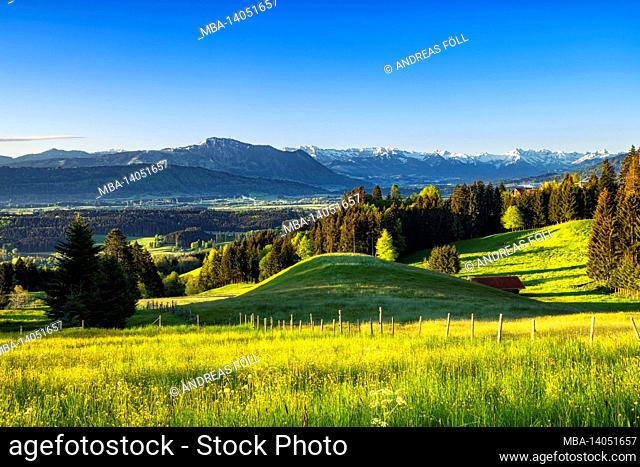 spring in the allgäu. view over the illertal to the allgäu alps with the grünten. meadows, forests and snow-capped mountains under a blue sky