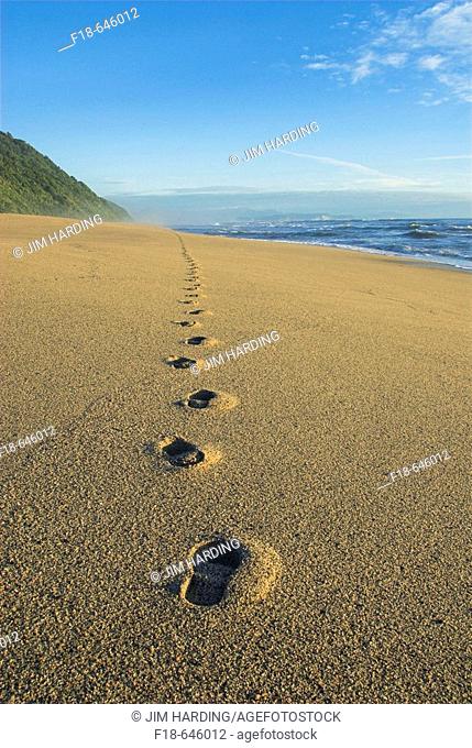 Footprints in the sand, Kohaihai Beach, Karamea, New Zealand