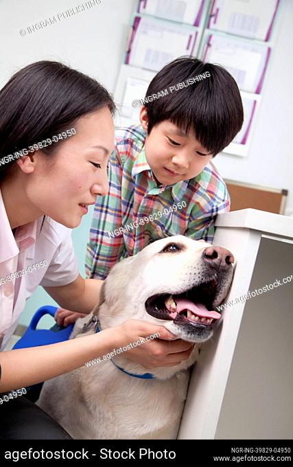 Boy with pet dog in veterinarian&rsquo;s office