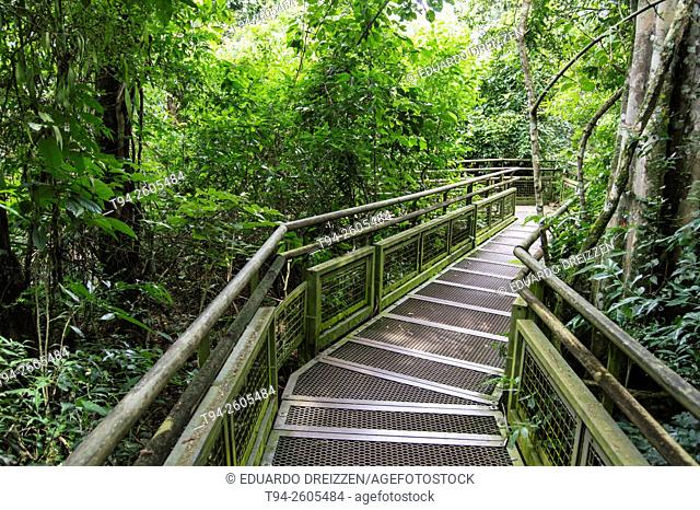 Jungle walkway at the Lower Trail, Iguazú National Park, Argentina