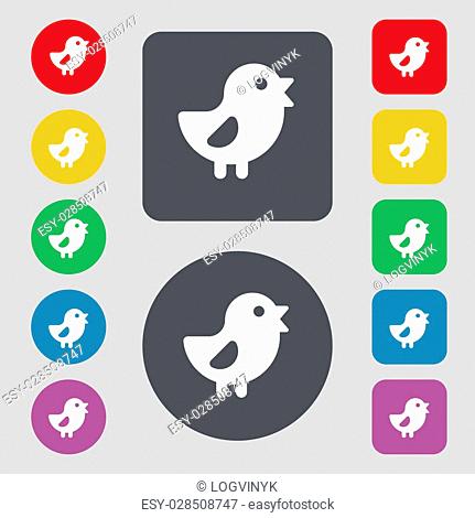 chicken, Bird icon sign. A set of 12 colored buttons. Flat design. illustration