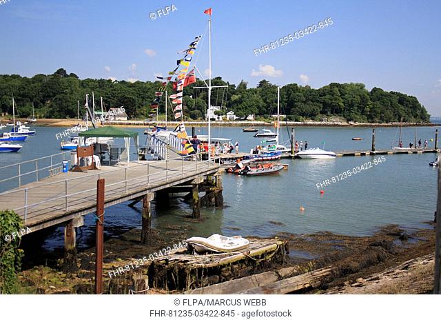Boats at mooring in harbour, Wootton Creek, Fishbourne, Isle of Wight, England, july