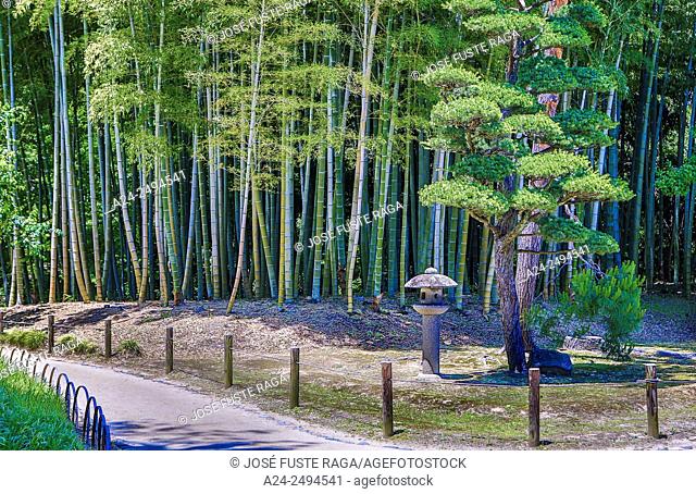 Bambu Wood, Korakuen Garden, Okayama, Japan