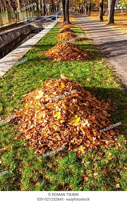 autumn park alley with leaf pile