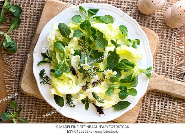 Spring salad with primula flowers, young nipplewort leaves and other wild edible plants