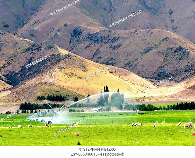 Irrigating lush farm pastures in central Otago, NZ