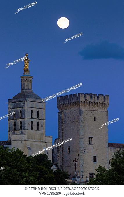 Papal palace (Palais des Papes) and cathedral Notre Dame at night with full moon, Avignon, France