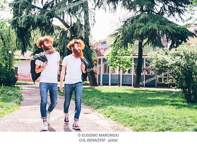 Young male hipster twins with red beards strolling in park