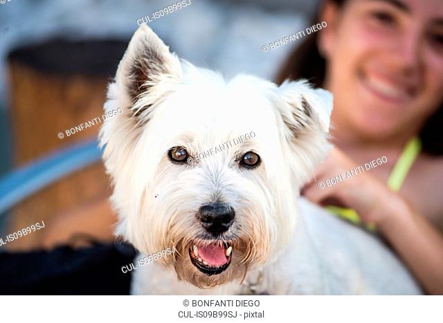 Portrait of cute white dog and teenage girl