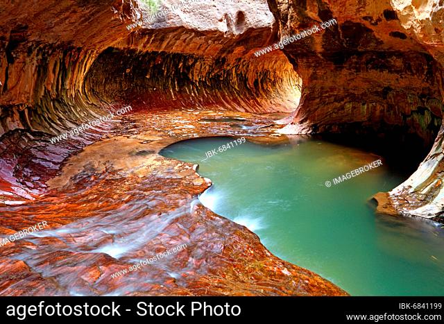 The Subway of Left Fork Creek, Zion National Park, UT, USA, North America