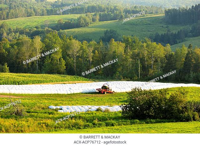 Baled hay, Waterford, New Brunswick, Canada