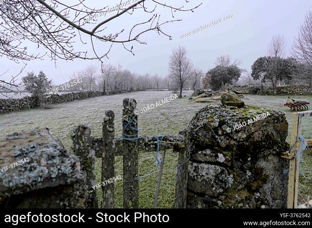 The stone walled pastures of the Mirandese Plateau in a cold winter morning