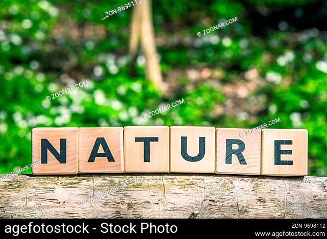 Nature sign on a wooden branch in a forest
