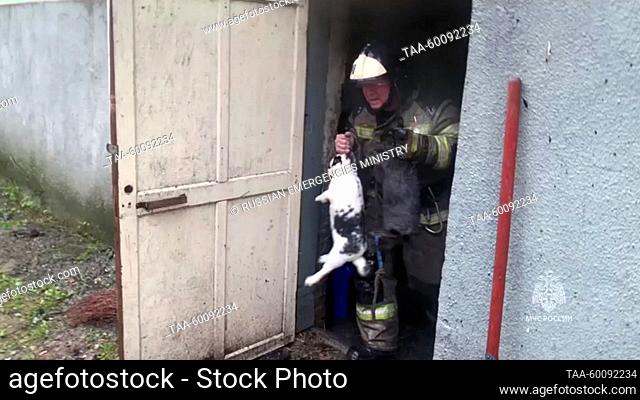RUSSIA, ROSTOV-ON-DON - JUNE 26, 2023: A firefighter rescues animals at Rostov-on-Don Zoo hit by fire. The fire covers an area of 300sqm