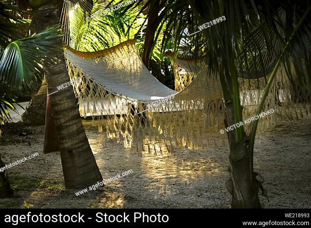 Hammock between palm trees at a resort in Riviera Maya, Mexico