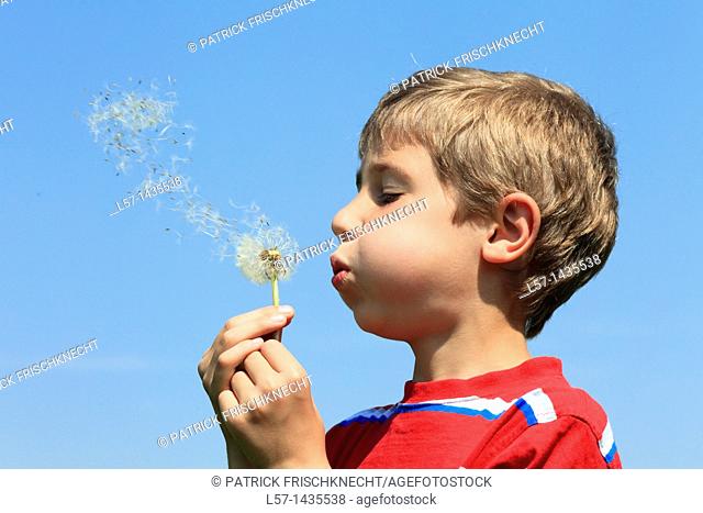 boy blowing Dandelion seeds