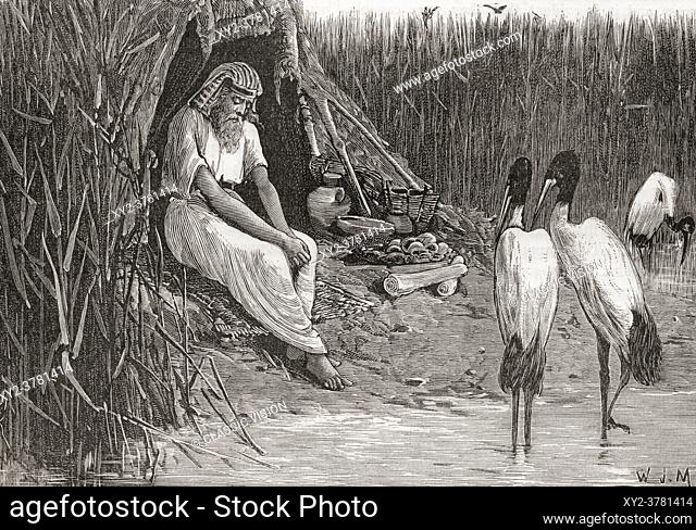 Anysis concealed in the marshes of the delta. Anysis, blind king of Egypt, he was deposed by Sabacos and after hiding in marshland for fifty years