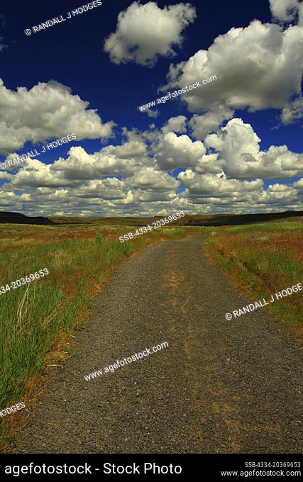 Puffy Clouds Over Walking Path in Palouse Falls State Park in Washington