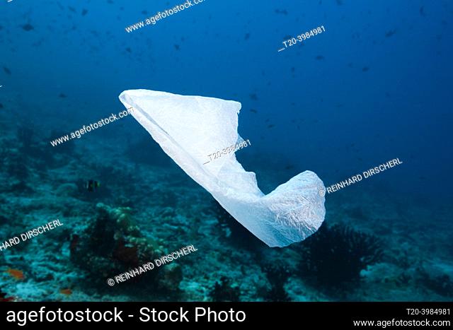 Plastic bag floating over Reef, North Male Atoll, Indian Ocean, Maldives