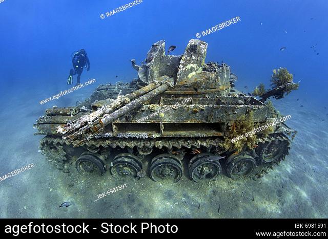 Diver, American tank M42 Duster with self-rotating 40mm anti-aircraft gun, wreck, Red Sea, Aqaba, Kingdom of Jordan